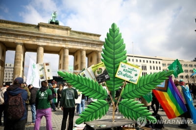 독일, 4월부터 대마초 합법화…25g 소지·3그루 재배