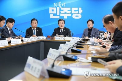 민주, 김혜경 재판 계기 김여사 비난…"증거 있어도 수사 안해"