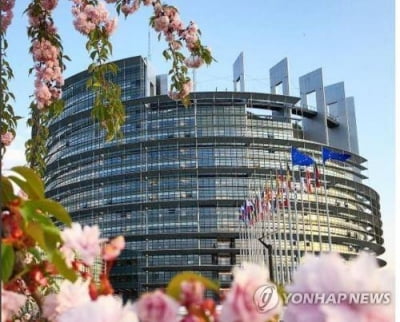 유럽의회서 '자연 복원법' 가결…우파 폐기 시도 무산