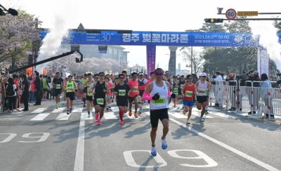 경주벚꽃마라톤 참가 접수 조기 마감…국내외 1만2천명 신청