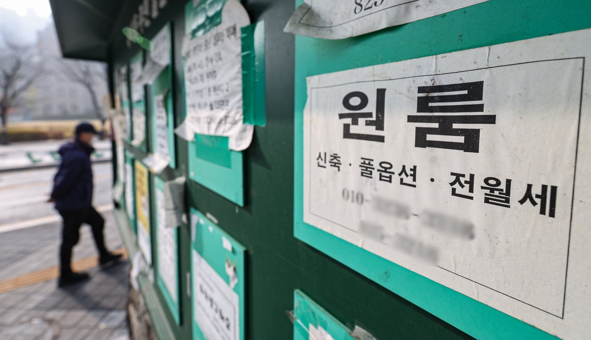 서울 시내 한 대학가 알림판에 게시된 하숙 및 원룸 공고. 사진=뉴스1