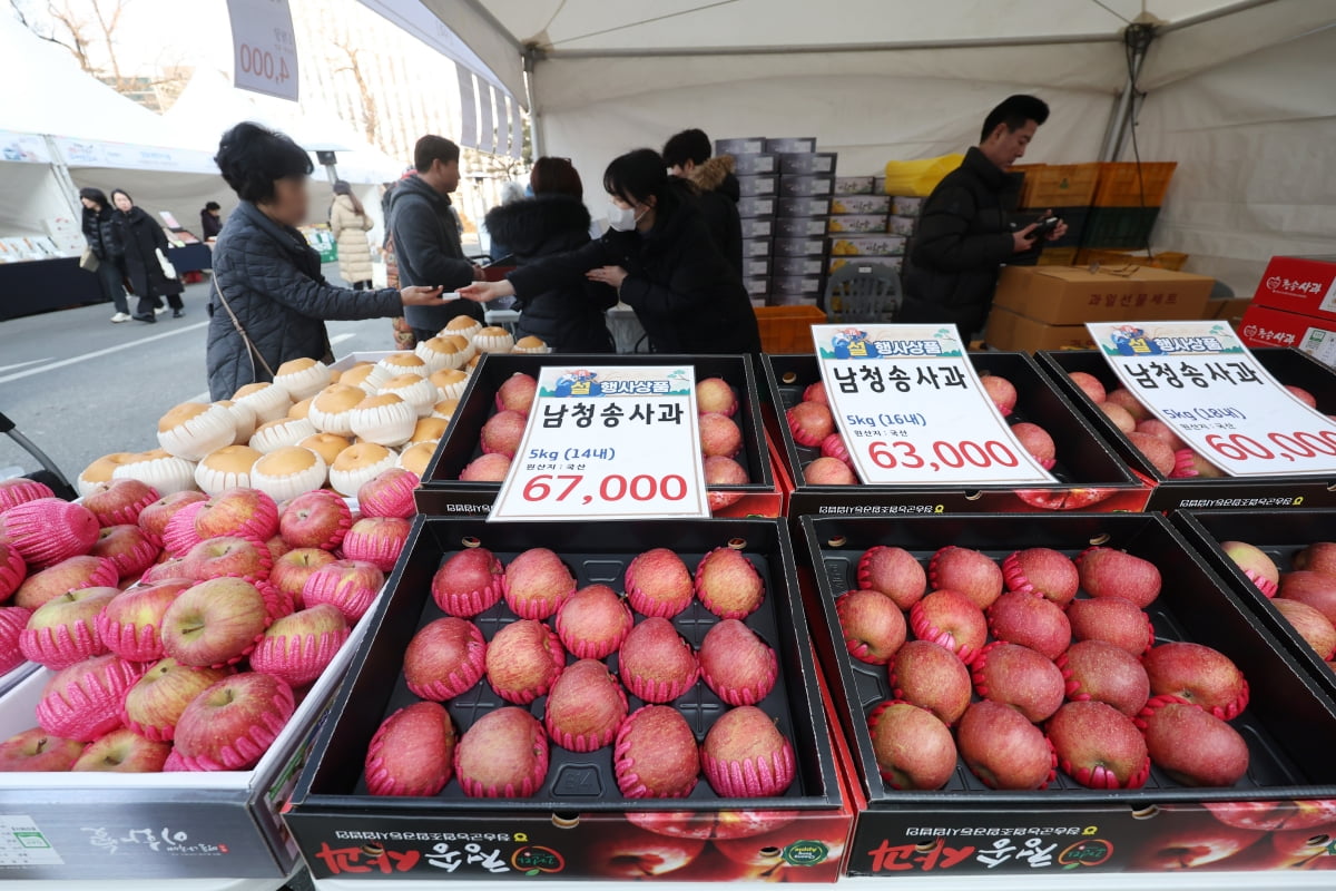 설맞이 직거래 장터에서 시민들이 사과를 구매하고 있다. 사진=뉴스1