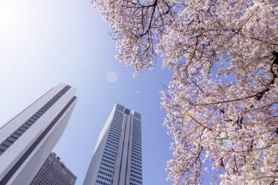 [일본 탐방] 백문이 불여일견, 도쿄 부동산을 직접 보자