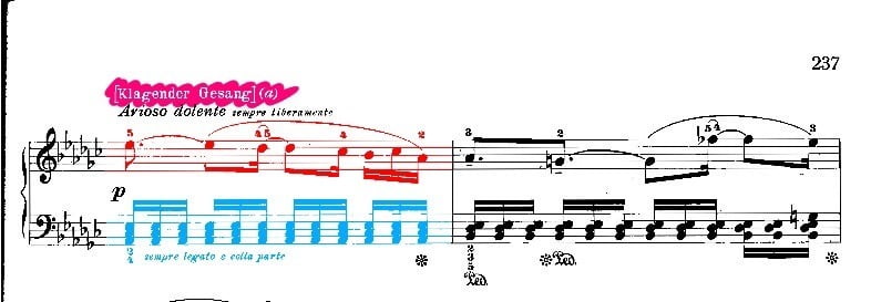 Klagender Gesang 시작부분 / 셋잇단 음표로 표현된 균일한 반주와 도↘시가 포함되어 있는 선율 부분 / 이미지 제공 : 이해빈