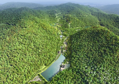 국내 최대 난대림 자생지, 2030년 국립난대수목원으로 재탄생