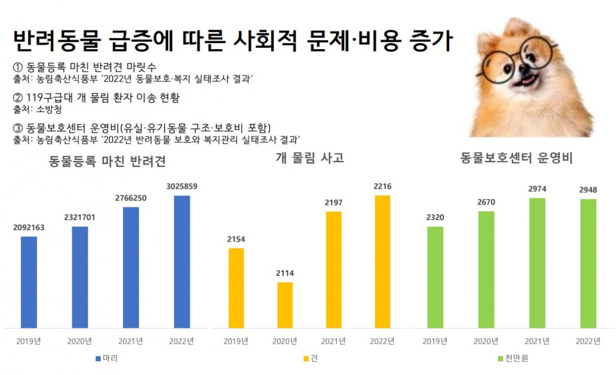 강아지·고양이 키우려면 세금 내야 한다고요? [슬기로운 반려생활 ⑥]