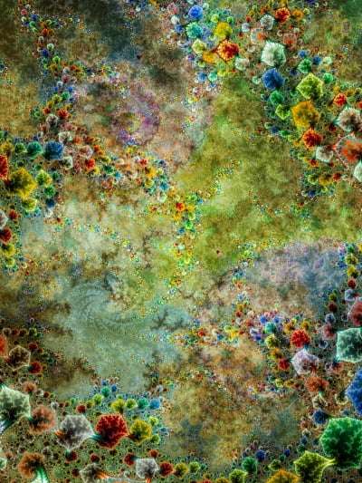 만개한 꽃인가, 우주의 성단인가…독일 현대사진 거장이 펼쳐보인 색의 향연