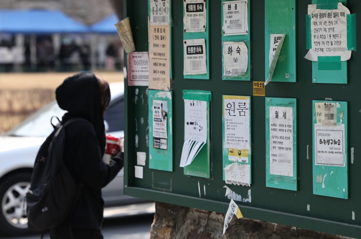 서울의 한 대학교 앞에 월세 관련 전단지가 부착돼 있다. 사진=연합뉴스