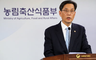 "정부 할인지원, 가격에 반영되고 있나"…대형마트 임원들 부른 농식품부