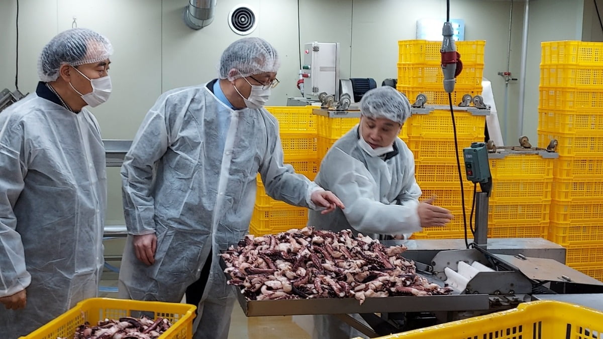 안종주 안전보건공단 이사장(가운데)이 12일 부산 사하구 다대로에 소재한 수산식품 제조업체를 찾아 기계작업에 따른 안전사고 예방대책을 논의하고 있다. 안전보건공단 제공