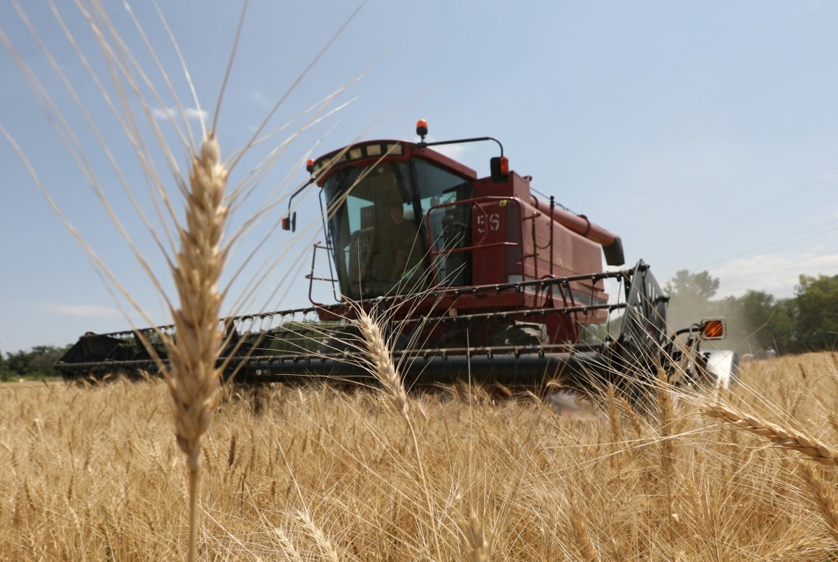 2023년 7월 카자흐스탄 알마티 지역 한 농가에서 콤바인이 밀을 수확하고 있다. /로이터