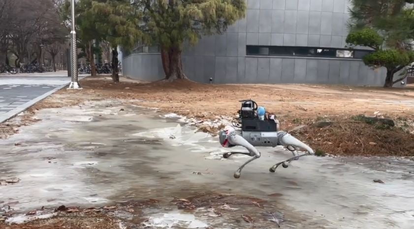 얼음 위 보행을  학습하는 KAIST 로봇 / 사진=명현 교수