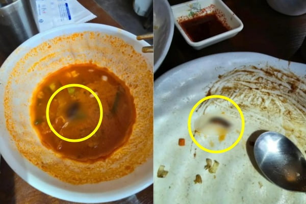 한 중식당을 방문한 손님이 주문한 짬뽕에서 벌레로 추정되는 이물질이 나온 모습. /사진=온라인 커뮤니티 캡처