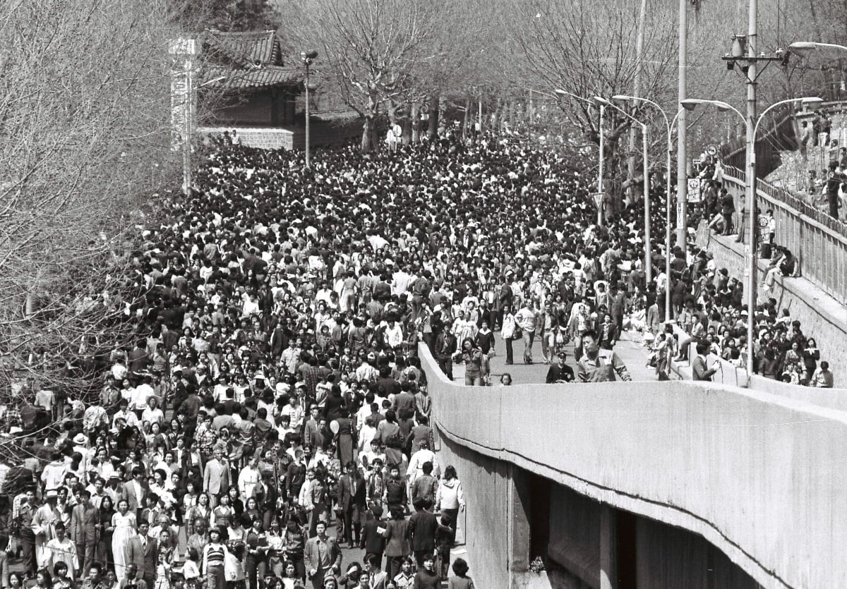 1976년 4월 18일 서울 창경원 주변이 상춘객들로 인산인해를 이루고 있다. /한경디지털자산
