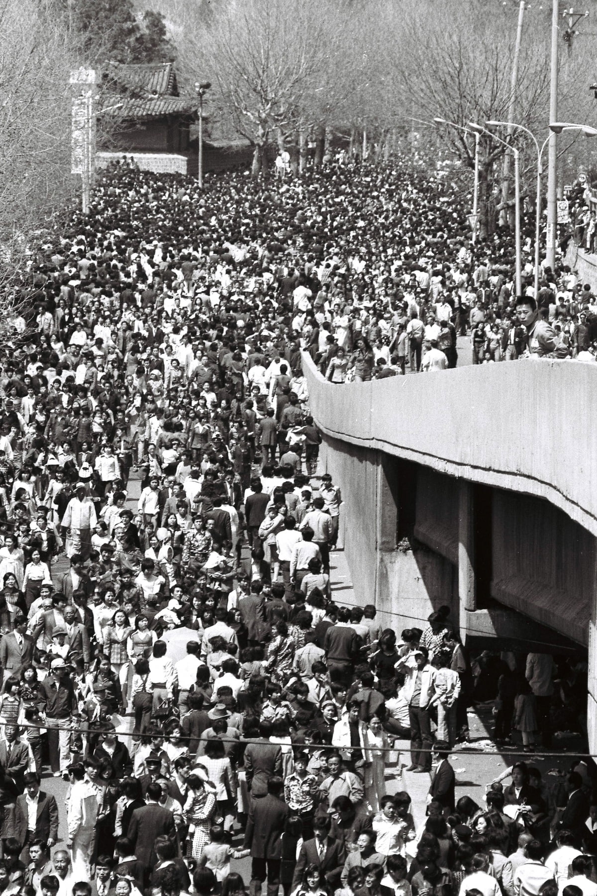 1976년 4월 18일 서울 창경원 인근이 상춘객들로 인산인해를 이루고 있다. /한경디지털자잔
