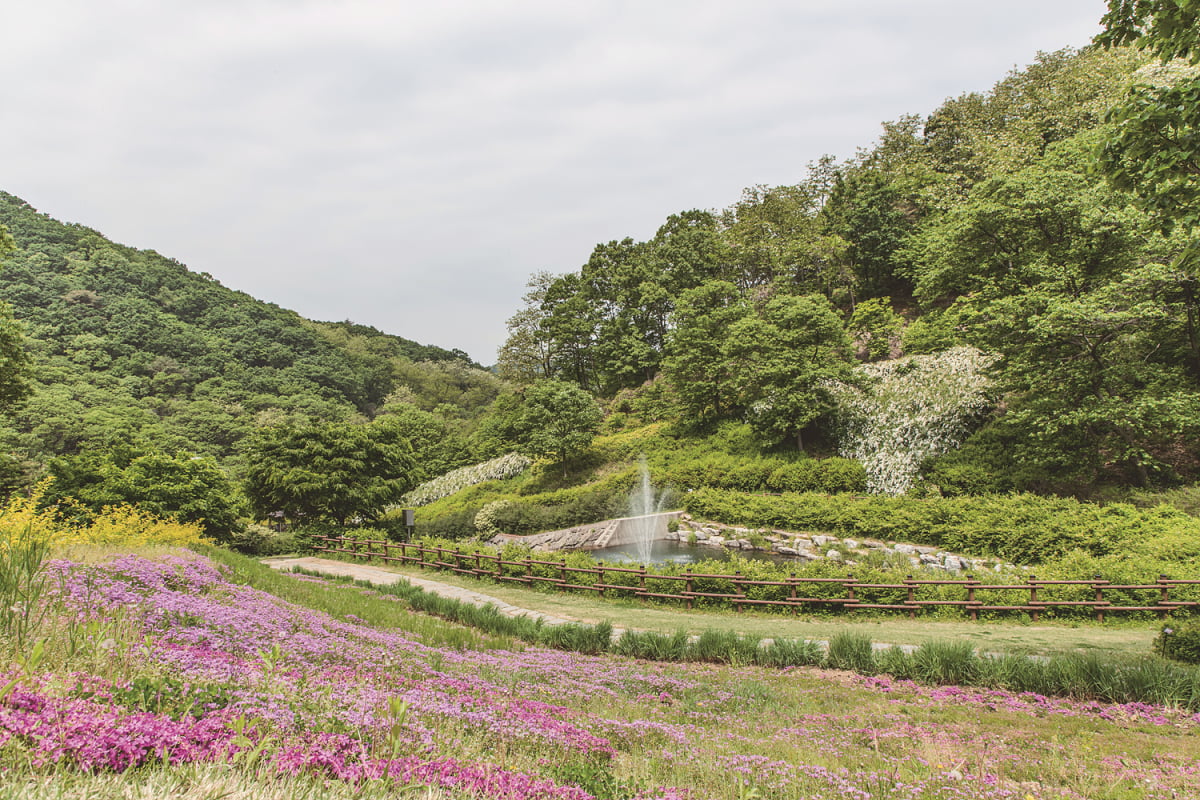 [한 장 여행] 파주