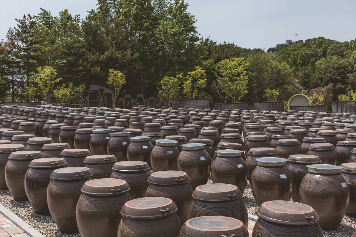 [한 장 여행] 파주