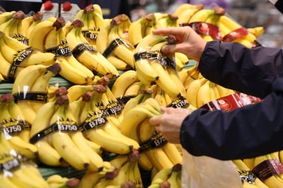 ‘최대 30% 할인’ 바나나·오렌지 오늘부터 마트에 풀린다