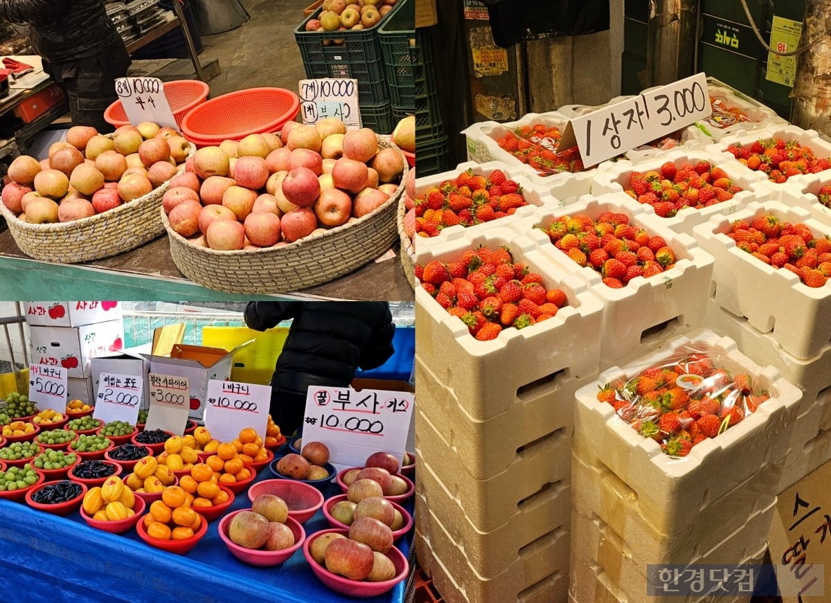 북적이는 경동시장의 모습. 과일을 저렴하게 판매한다. /사진=김영리 기자