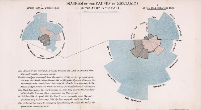 플로렌스 나이팅게일(Florence Nightingale), ‘동쪽 군사들의 대규모 죽음의 이유’(1858)