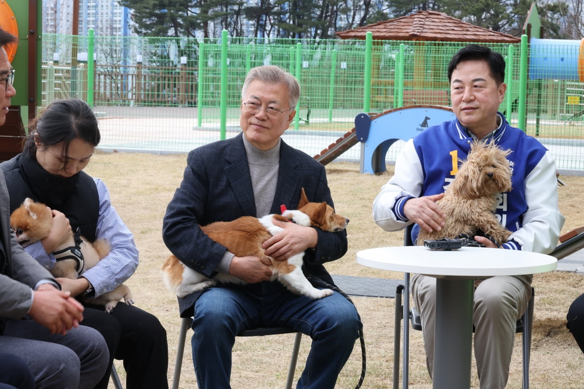 문재인 전 대통령이 22일 오후 경남 양산시 유기동물보호소와 반려동물지원센터를 찾아 유기견을 돌보고 간담회를 갖고 있다. /사진=연합뉴스