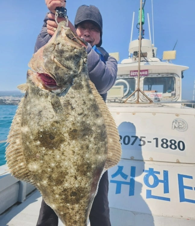 20분 힘겨운 싸움 끝…제주서 1m 초대형 광어 낚였다