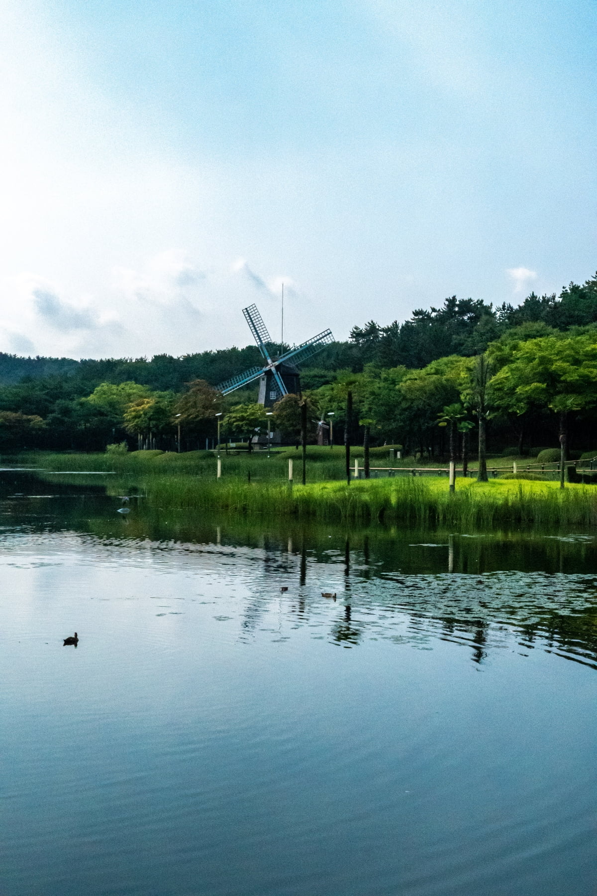 울산 남구 울산대공원, 여름 풍경