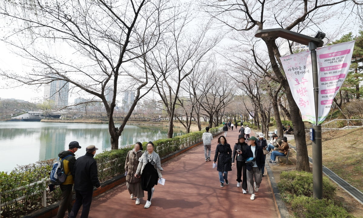 [포토] 서울은 벚꽃 아직 