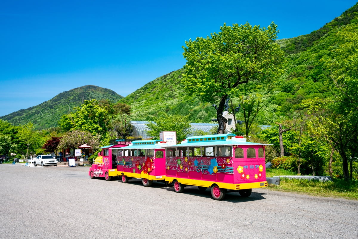 충남 보령 개화예술공원