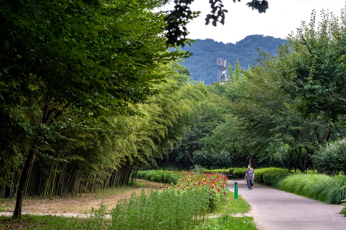 여행의 모든 것 '한 장 여행 울산 남구 편'