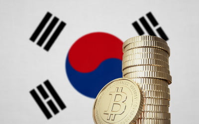 한국 투자자 울리는 김치 프리미엄?…"조정장 오면 이중손실"