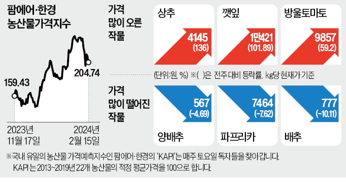 궂은 날씨에…상추·깻잎값 1주일새 두배