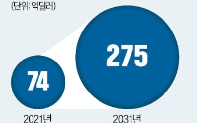 바이오시밀러, 36조 황반변성 시장 대격돌