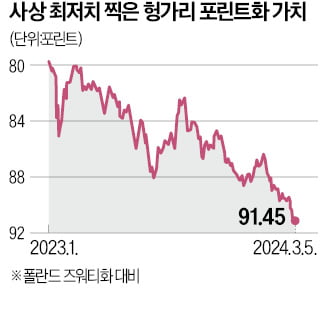 폴란드 질주·헝가리 추락…화폐가치 희비 왜