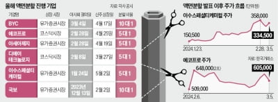 덩치 큰 BYC·에코프로, 액면분할에 날았다