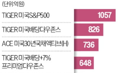 밸류업 테마 휩쓴 상승장에도 개미들 해외주식 ETF 담았다