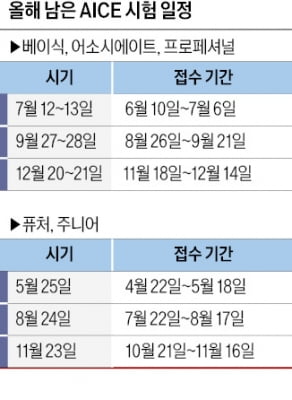 AICE 정기시험 7·9·12월…초·중·고 학생 평가는 5·8·11월