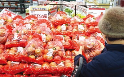 정부, 金사과와의 전쟁…가격 폭리 엄단