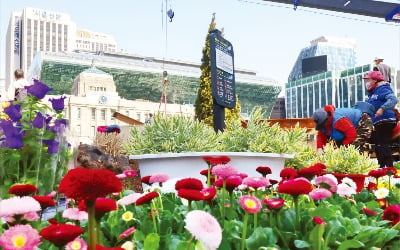 [포토] "알록달록 봄꽃 보세요"