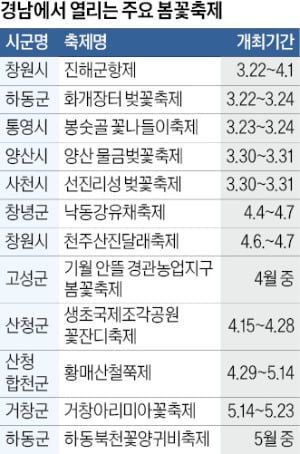 벚꽃·유채꽃·철쭉 흐드러진 경남, 봄꽃 축제 보러 오세요