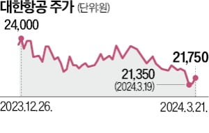 "남아공까지 직항"…대한항공, A350 첫 투입