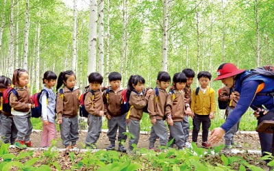 '숲으로 잘사는 글로벌 산림강국' 도약…국민 생명보호·안전 강화