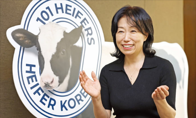 네팔에 보낸 101마리 한국 젖소…"낙농 보은 첫발"