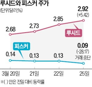 '10억카지노사이트 추천 수혈' 루시드 급등…'돈줄 못구한' 피스커 상폐