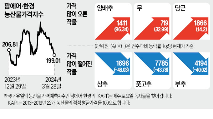 양배추 가격 1주 만에 두 배 올랐다