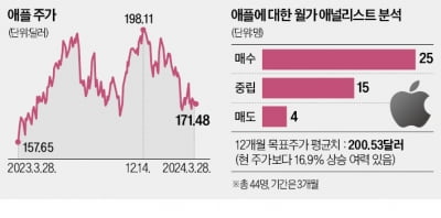 "이대로 물러설 애플 아니다"…주가 반등론 솔솔