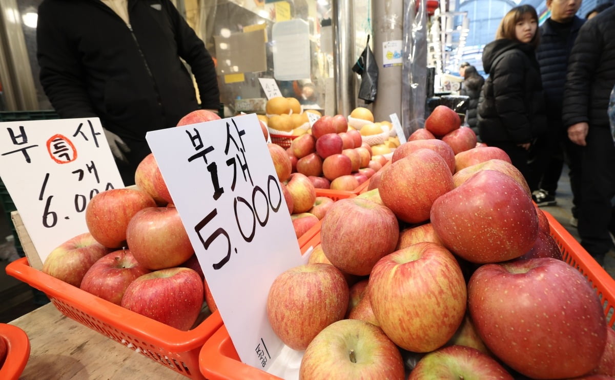  농업 전망 2024 보고서에 따르면 2033년까지 사과 재배 면적이 8.6% 감소할 것으로 예상된다.  사진=한국경제신문