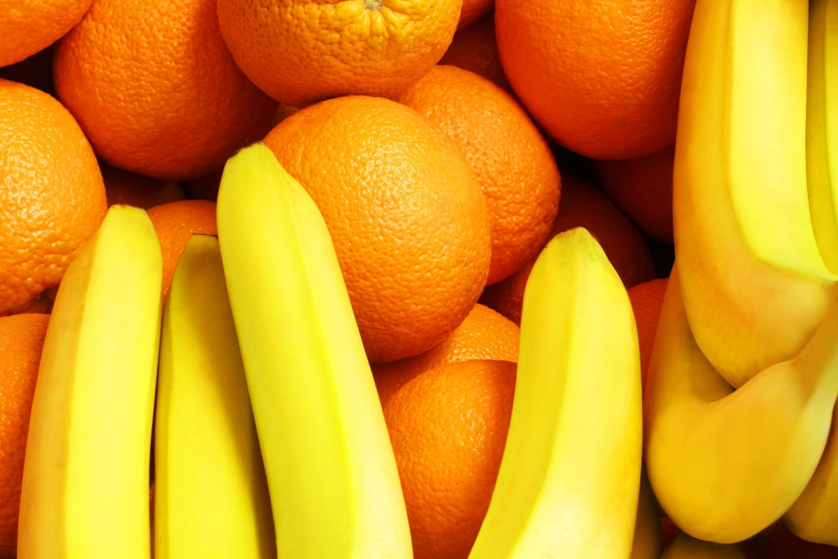 “금사과 대신 바나나 어때요” 직수입 바나나·오렌지 1,800톤 내일부터 풀린다
