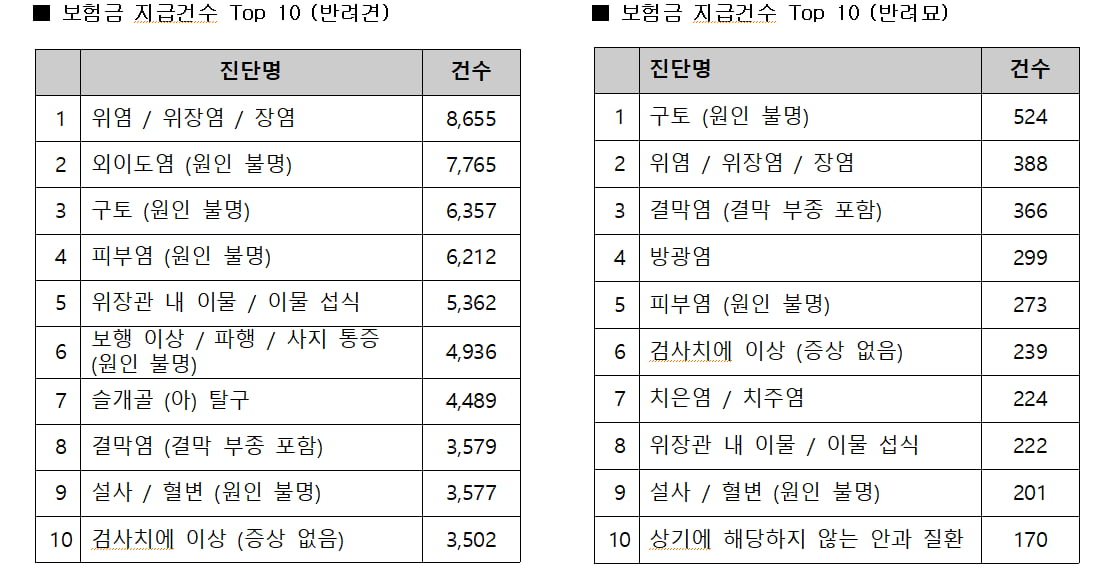 메리츠화재, 펫보험 지급액 1위는 반려견 슬개골 탈구…약 43억9000만원