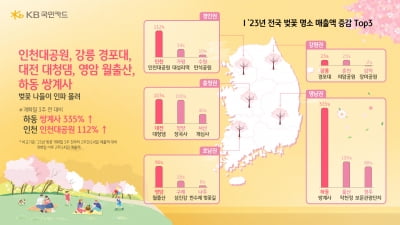 “벚꽃 기간 최대 매출 335%”…상권으로 본 벚꽃 지도 [인포그래픽]